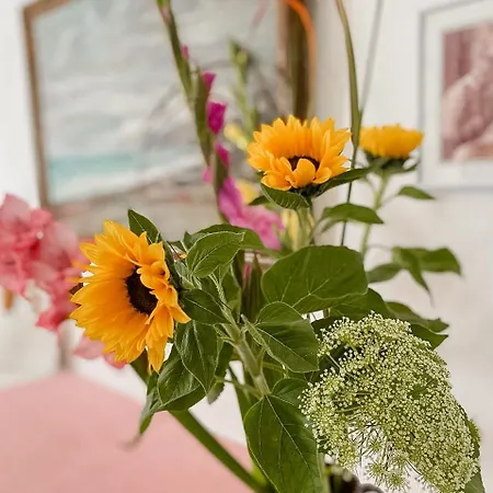 Historical With Sea View *