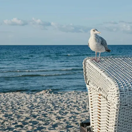 Vakantiehuis Historical With Sea View *