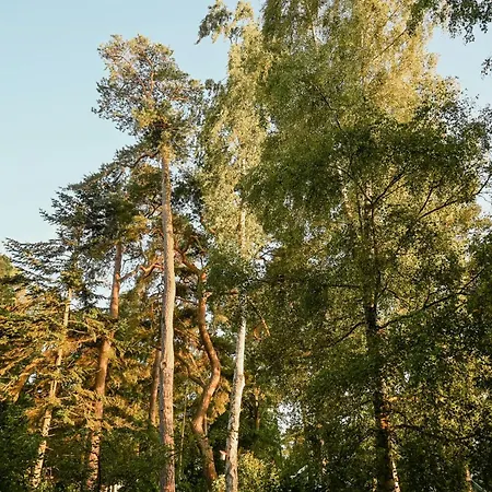 Vakantiehuis Historical With Sea View Boltenhagen (Ostseebad)